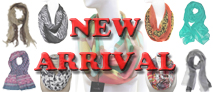 new-arrival-2013.jpg